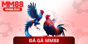 Đá Gà MM88
